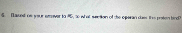 Based on your answer to #5, to what section of the operon does this protein bind?