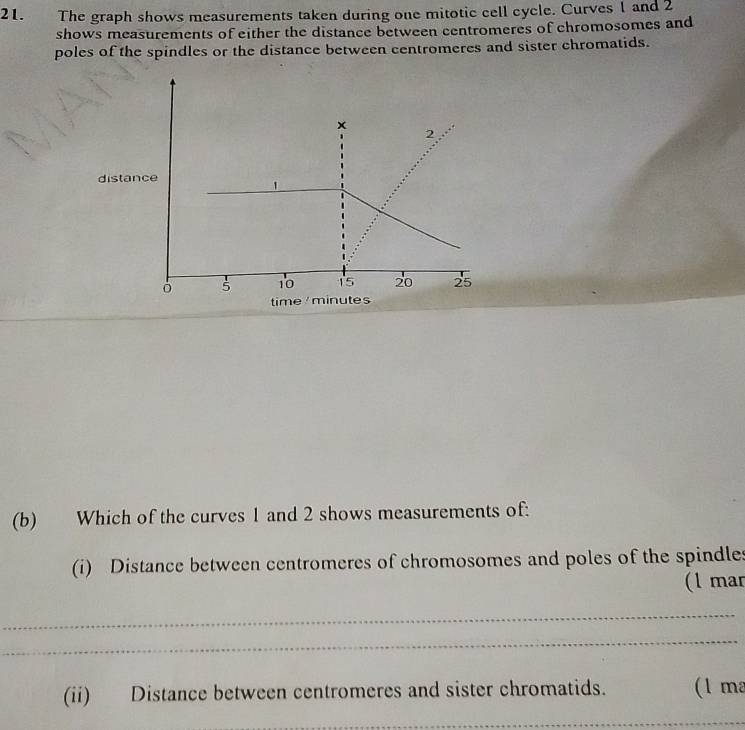 The graph shows measurements taken during one mitotic cell cycle. Curves 1 and 2
shows measurements of either the distance between centromeres of chromosomes and 
poles of the spindles or the distance between centromeres and sister chromatids.
x
2
distance 
ò 5 10 15 20 25
time minutes
(b) Which of the curves 1 and 2 shows measurements of: 
(i) Distance between centromeres of chromosomes and poles of the spindles 
(l mar 
_ 
_ 
(ii) Distance between centromeres and sister chromatids. ( 1 m
_