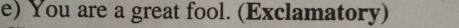 You are a great fool. (Exclamatory)