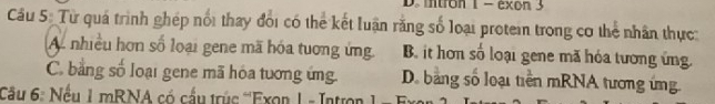 intron 1 - exon 3
Cầu 5: Từ quá trình ghép nổi thay đổi có thể kết luận rằng số loại protein trong cơ thể nhân thực:
A. nhiều hơn số loại gene mã hóa tương ứng B it hơn số loại gene mã hóa tương ứng
C. bằng số loại gene mã hóa tướng ứng. D. bằng số loại tiền mRNA tương ứng.
Câu 6: Nếu 1 mRNA có cấu trúc '''Exon 1 - Intron 1- 5