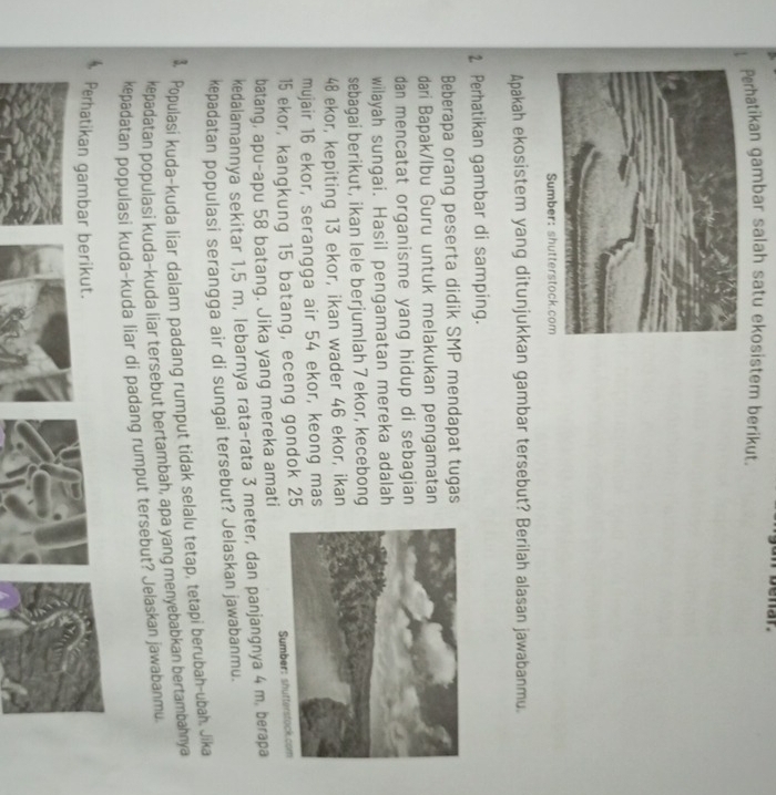 Perhatikan gambar salah satu ekosistem berikut. 
Apakah ekosistem yang ditunjukkan gambar tersebut? Berilah alasan jawabanmu. 
2. Perhatikan gambar di samping. 
Beberapa orang peserta didik SMP mendapat tugas 
dari Bapak/lbu Guru untuk melakukan pengamatan 
dan mencatat organisme yang hidup di sebagian 
wilayah sungai. Hasil pengamatan mereka adalah 
sebagai berikut, ikan lele berjumlah 7 ekor, kecebong
48 ekor, kepiting 13 ekor, ikan wader 46 ekor, ikan 
mujair 16 ekor, serangga air 54 ekor, keong mas
15 ekor, kangkung 15 batang, eceng gondok 25
batang, apu-apu 58 batang. Jika yang mereka amati 
kedalamannya sekitar 1,5 m, lebarnya rata-rata 3 meter, dan panjangnya 4 m, berapa 
kepadatan populasi serangga air di sungai tersebut? Jelaskan jawabanmu.
1 Populasi kuda-kuda liar dalam padang rumput tidak selalu tetap, tetapi berubah-ubah. Jika 
kepadatan populasi kuda-kuda liar tersebut bertambah, apa yang menyebabkan bertambahnya 
kepadatan populasi kuda-kuda liar di padang rumput tersebut? Jelaskan jawabanmu 
Perhatikan gambar berikut.