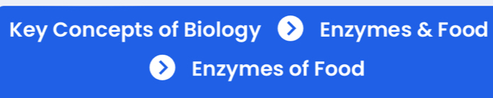 Key Concepts of Biology Enzymes & Food 
Enzymes of Food