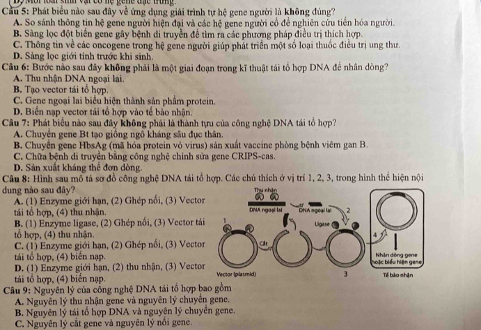 Dy Mới loà sih vậi có hệ gene đạc trung.
Cầu 5: Phát biểu nào sau đây về ứng dụng giải trình tự hệ gene người là không đúng?
A. So sánh thông tin hệ gene người hiện đại và các hệ gene người cổ để nghiên cứu tiến hóa người.
B. Sàng lọc đột biến gene gây bệnh di truyền đề tìm ra các phương pháp điều trị thích hợp.
C. Thông tin về các oncogene trong hệ gene người giúp phát triển một số loại thuốc điều trị ung thư
D. Sàng lọc giới tính trước khi sinh.
Câu 6: Bước nào sau đây không phải là một giai đoạn trong kĩ thuật tái tổ hợp DNA để nhân dòng?
A. Thu nhận DNA ngoại lai.
B. Tạo vector tái tổ hợp.
C. Gene ngoại lai biểu hiện thành sản phầm protein.
D. Biến nạp vector tái tổ hợp vào tế bào nhận.
Câu 7: Phát biểu nào sau đây không phải là thành tựu của công nghệ DNA tái tổ hợp?
A. Chuyên gene Bt tạo giồng ngô kháng sâu đục thân.
B. Chuyển gene HbsAg (mã hóa protein vỏ virus) sản xuất vaccine phòng bệnh viêm gan B.
C. Chữa bệnh di truyền bằng công nghệ chinh sửa gene CRIPS-cas.
D. Sản xuất kháng thể đơn dòng.
Câu 8: Hình sau mô tả sơ đồ công nghệ DNA tái tổ hợp. Các chú thích ở vị trí 1, 2, 3, trong hình thể hiện nội
dung nào sau đây?
A. (1) Enzyme giới hạn, (2) Ghép nối, (3) Vecto
tái tổ hợp, (4) thu nhận. 
B. (1) Enzyme ligase, (2) Ghép nối, (3) Vector tá
tổ hợp, (4) thu nhận.
C. (1) Enzyme giới hạn, (2) Ghép nối, (3) Vecto
tái tổ hợp, (4) biến nạp.
D. (1) Enzyme giới hạn, (2) thu nhận, (3) Vecto
tái tổ hợp, (4) biển nạp. 
* Câu 9: Nguyên lý của công nghệ DNA tái tổ hợp bao gồm
A. Nguyên lý thu nhận gene và nguyên lý chuyển gene.
B. Nguyên lý tái tổ hợp DNA và nguyên lý chuyền gene.
C. Nguyên lý cắt gene và nguyên lý nổi gene.