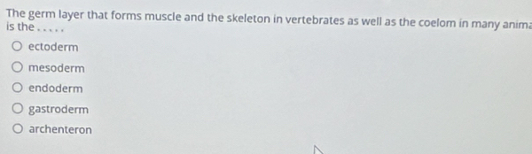 The germ layer that forms muscle and the skeleton in vertebrates as well as the coelom in many anim
is the_ . .
ectoderm
mesoderm
endoderm
gastroderm
archenteron