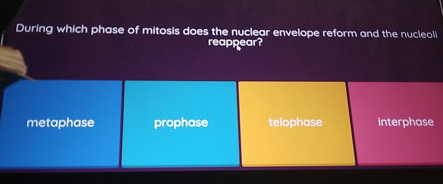 During which phase of mitosis does the nuclear envelope reform and the nucleoli
reappear?
metaphase prophase telophase interphase