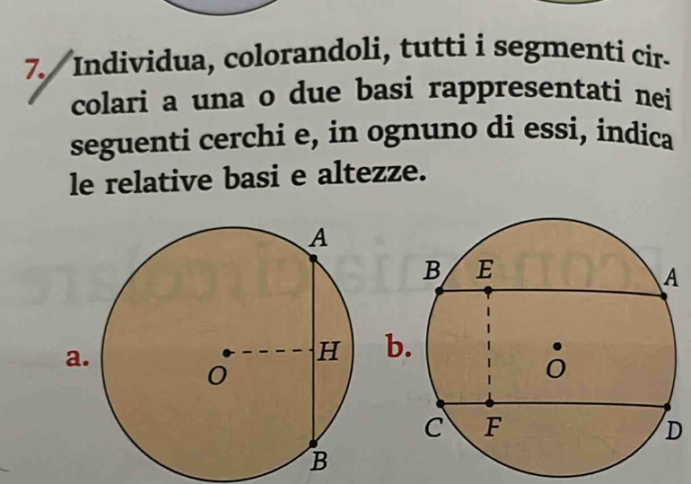 Individua, colorandoli, tutti i segmenti cir. 
colari a una o due basi rappresentati nei 
seguenti cerchi e, in ognuno di essi, indica 
le relative basi e altezze. 
b 
D