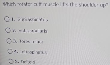 Which rotator cuff muscle lifts the shoulder up?
1. Supraspinatus
2. Subscapularis
3. Teres minor
4. Infraspinatus
5.Deltoid