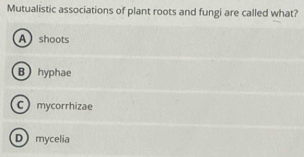 Mutualistic associations of plant roots and fungi are called what?
A shoots
B)hyphae
C mycorrhizae
D mycelia