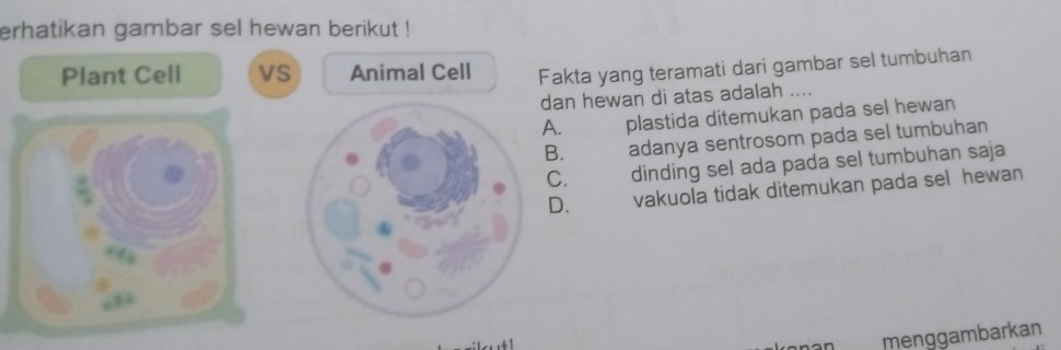 erhatikan gambar sel hewan berikut !
Plant Cell VS Animal Cell Fakta yang teramati dari gambar sel tumbuhan
dan hewan di atas adalah ....
A. plastida ditemukan pada sel hewan
B. adanya sentrosom pada sel tumbuhan
C. dinding sel ada pada sel tumbuhan saja
D. vakuola tidak ditemukan pada sel hewan
menggambarkan