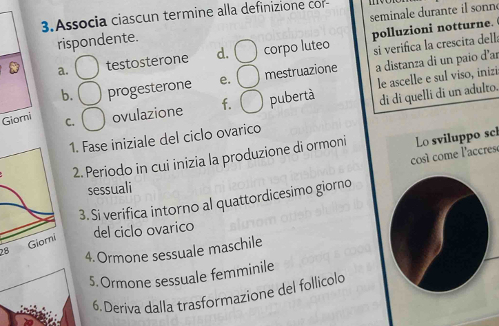 Associa ciascun termine alla definizione cor-
rispondente. seminale durante il sonn
si verifica la crescita della
a. testosterone d. corpo luteo polluzioni notturne.
b. progesterone e. mestruazione a distanza di un paio d’ar
di di quelli di un adulto.
Giorni
C. ovulazione f. pubertà le ascelle e sul viso, inizi:
1. Fase iniziale del ciclo ovarico
2. Periodo in cui inizia la produzione di ormoni Lo sviluppo scl
cosí come l'accresé
sessuali
3. Si verifica intorno al quattordicesimo giorno
28 del ciclo ovarico
4.Ormone sessuale maschile
5. Ormone sessuale femminile
6. Deriva dalla trasformazione del follicolo