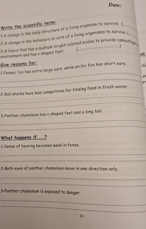 Date: 
Write the scientific term: 
1-A change in the body structure of a living organism to survive. (__ 
2-A change in the behaviors or acts of a living organisms to survive. ( 
. ) 
3-A lizard that has a multiple bright colored scales to provide camouflage 
environment and has v-shaped feet.  
ok 
Give reasons for: 
_ 
1-Fennec fox has extra-large ears, while arctic fox has short ears. -C 
_ 
P 
_ 
2-Bull sharks have less competition for finding food in fresh water. 
_ 
_ 
3-Panther chameleon has v-shaped feet and a long tail. 
_ 
What happens if....? 
1-Sense of hearing becomes weak in foxes. 
_ 
_ 
2-Both eyes of panther chameleon move in one direction only. 
_ 
_ 
3-Panther chameleon is exposed to danger. 
_ 
_ 
20