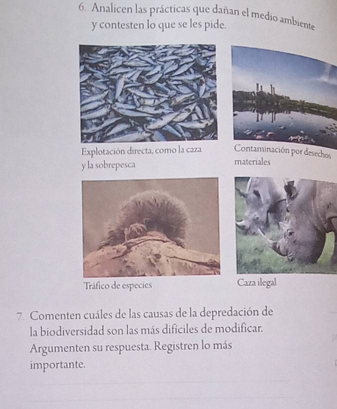 Analicen las prácticas que dañan el medio ambiente
y contesten lo que se les pide.
Explotación directa, como la caza desechos
y la sobrepesca
materiales
Tráfico de especies Caza ilegal
7. Comenten cuáles de las causas de la depredación de
la biodiversidad son las más difíciles de modificar.
Argumenten su respuesta. Registren lo más
importante.