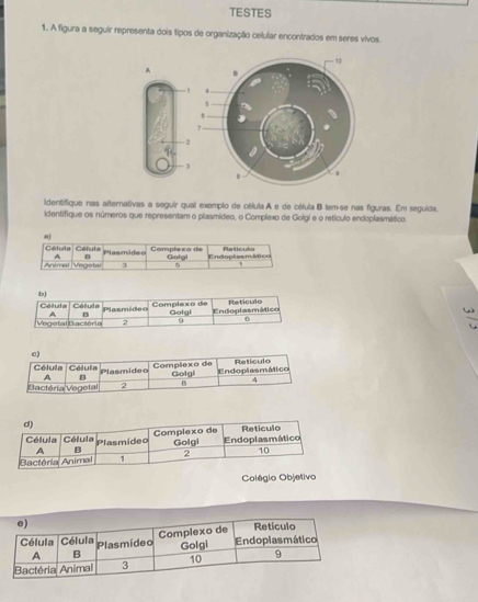 TESTES 
1, A figura a seguir representa dois tipos de organização celular encontrados em seres vivos. 
identifique nas alternativas a seguir qual exemplo de célula A e de célula B tem-se nas figuras. Em seguída, 
identifique os números que representam o plasmídeo, o Complexo de Golgi e o retículo endoplasmático 
Colégio Objetivo