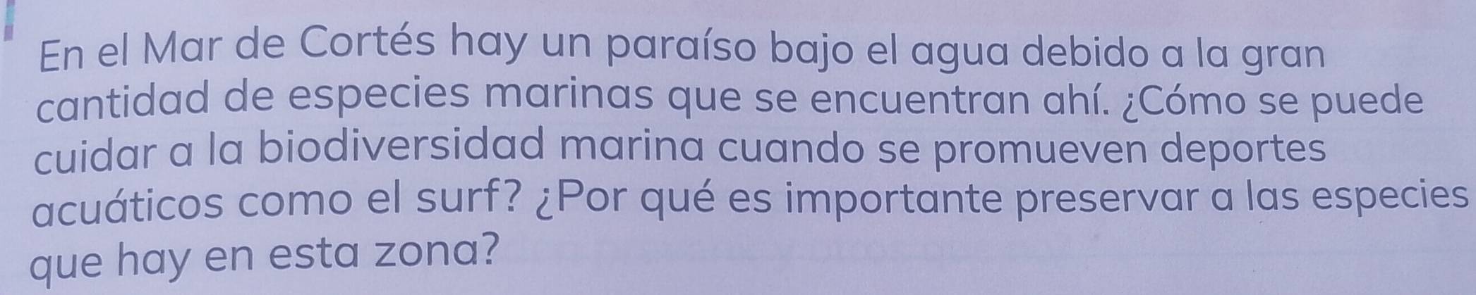 En el Mar de Cortés hay un paraíso bajo el agua debido a la gran 
cantidad de especies marinas que se encuentran ahí. ¿Cómo se puede 
cuidar a la biodiversidad marina cuando se promueven deportes 
acuáticos como el surf? ¿Por qué es importante preservar a las especies 
que hay en esta zona?