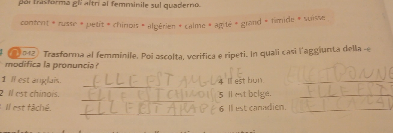 poi trasforma gli altri al femminile sul quaderno. 
content * russe • petit • chinois • algérien • calme • agité • grand • timide • suisse 
042 Trasforma al femminile. Poi ascolta, verifica e ripeti. In quali casi l’aggiunta della -e 
modifica la pronuncia? 
_ 
1 Il est anglais. _ 4 l est bon. 
_ 
_ 
_ 
2 Il est chinois. 5 Ⅱ est belge. 
_ 
_ 
Il est fâché. 6 Il est canadien.