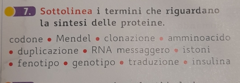 Sottolinea i termini che riguardano
la sintesi delle proteine.
codone • Mendel • clonazione • amminoacido
duplicazione • RNA messaggero • istoni
fenotipo ● genotipo ● traduzione • insulina