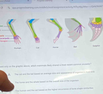 ever Portal × Pronresa Learing
app.progresslearning.com/middleSchool/assignment/activity/NTkyMjg3Mw==/QVNTRVNT
us
pals
acarpals
langes
sed only on the graphic above, which mammals likely shared a most recent common ancestor?
A The cat and the bat based on average size and appearance of organism's front limb
The horse and the whale based on the overall size of the organism
The human and the cat based on the higher occurrence of bone shape similarities