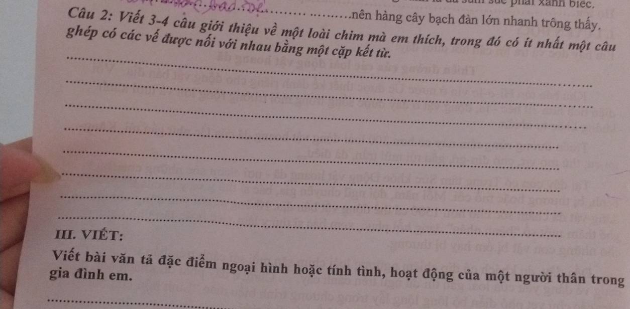 sue phái xanh biec. 
hhên hàng cây bạch đàn lớn nhanh trông thấy. 
Câu 2: Viết 3 - 4 câu giới thiệu về một loài chim mà em thích, trong đó có ít nhất một câu 
_ 
ghép có các vế được nối với nhau bằng một cặp kết từ. 
_ 
_ 
_ 
_ 
_ 
_ 
_ 
III. VIÉT: 
Viết bài văn tả đặc điểm ngoại hình hoặc tính tình, hoạt động của một người thân trong 
gia đình em. 
_