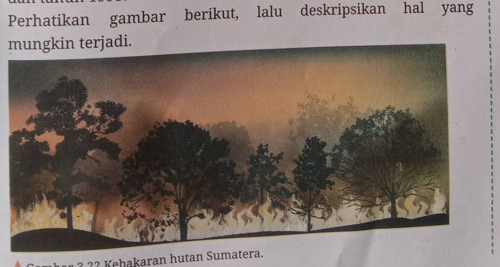 Perhatikan gambar berikut, lalu deskripsikan hal yang 
r ? 2 2 ebakaran hutan Sumatera.