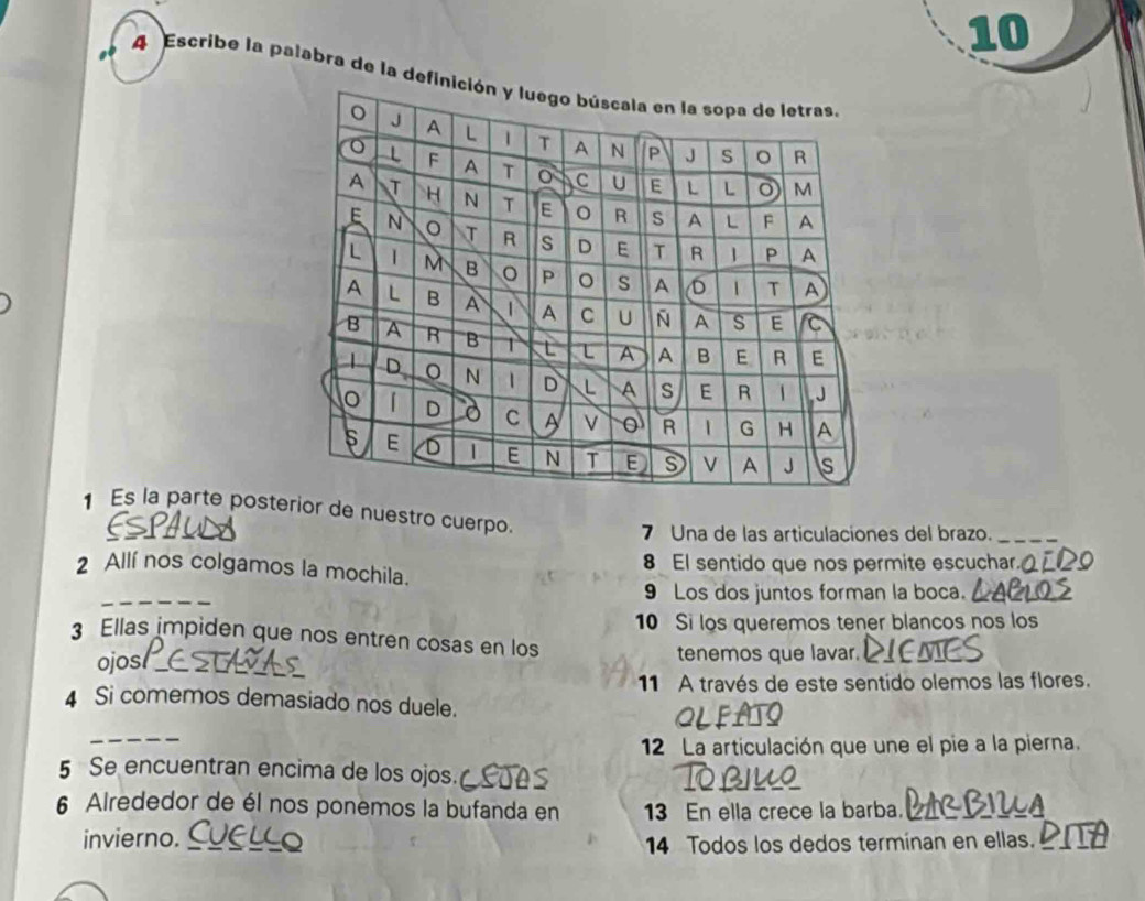 10 
4 Escribe la palabra de la def 
1 Es la parte postior de nuestro cuerpo. 
ESPAULY 7 Una de las articulaciones del brazo._ 
2 Allí nos colgamos la mochila. 8 El sentido que nos permite escuchar. 
_ 
9 Los dos juntos forman la boca. 
_ 
10 Si los queremos tener blancos nos los 
3 Ellas impiden que nos entren cosas en los 
ojost_ tenemos que lavar. 
11 A través de este sentido olemos las flores. 
4 Si comemos demasiado nos duele. 
_ 
119 
12 La articulación que une el pie a la pierna. 
5 Se encuentran encima de los ojos. as 
Obilo 
6 Airededor de él nos ponemos la bufanda en 13 En ella crece la barba. 
invierno. _14 Todos los dedos terminan en ellas.