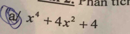 Phan tícr 
a x^4+4x^2+4