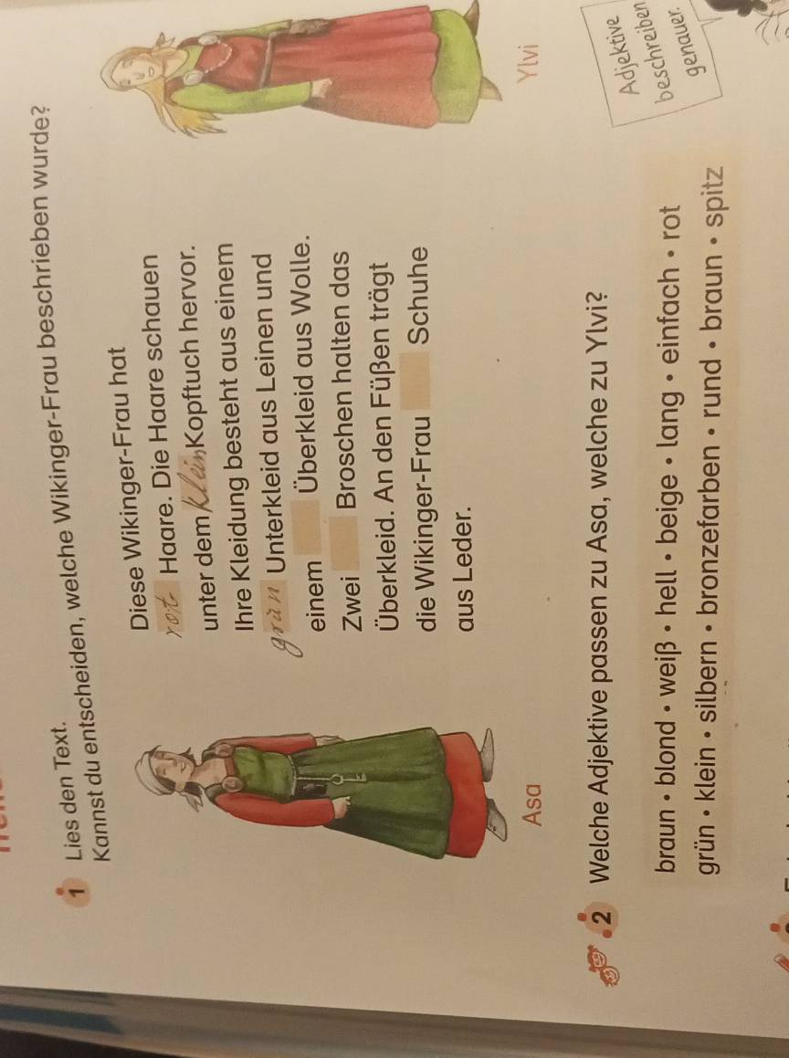 Lies den Text. Kannst du entscheiden, welche Wikinger-Frau beschrieben wurde?
Diese Wikinger-Frau hat
Haare. Die Haare schauen
unter dem Kopftuch hervor.
Ihre Kleidung besteht aus einem
a Unterkleid aus Leinen und
einem Überkleid aus Wolle.
Zwei Broschen halten das
Überkleid. An den Füßen trägt
die Wikinger-Frau Schuhe
aus Leder.

2 Welche Adjektive passen zu Asa, welche zu Ylvi?
braun • blond • weiß • hell • beige • lang • einfach • rot
beschreiber Adjektive
genauer
grün • klein • silbern • bronzefarben • rund • braun • spitz