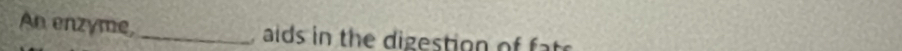 An enzyme, _ aids in th e digestion of t