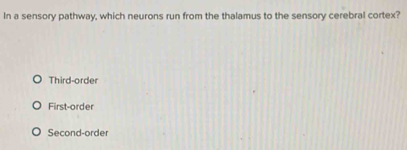 In a sensory pathway, which neurons run from the thalamus to the sensory cerebral cortex?
Third-order
First-order
Second-order