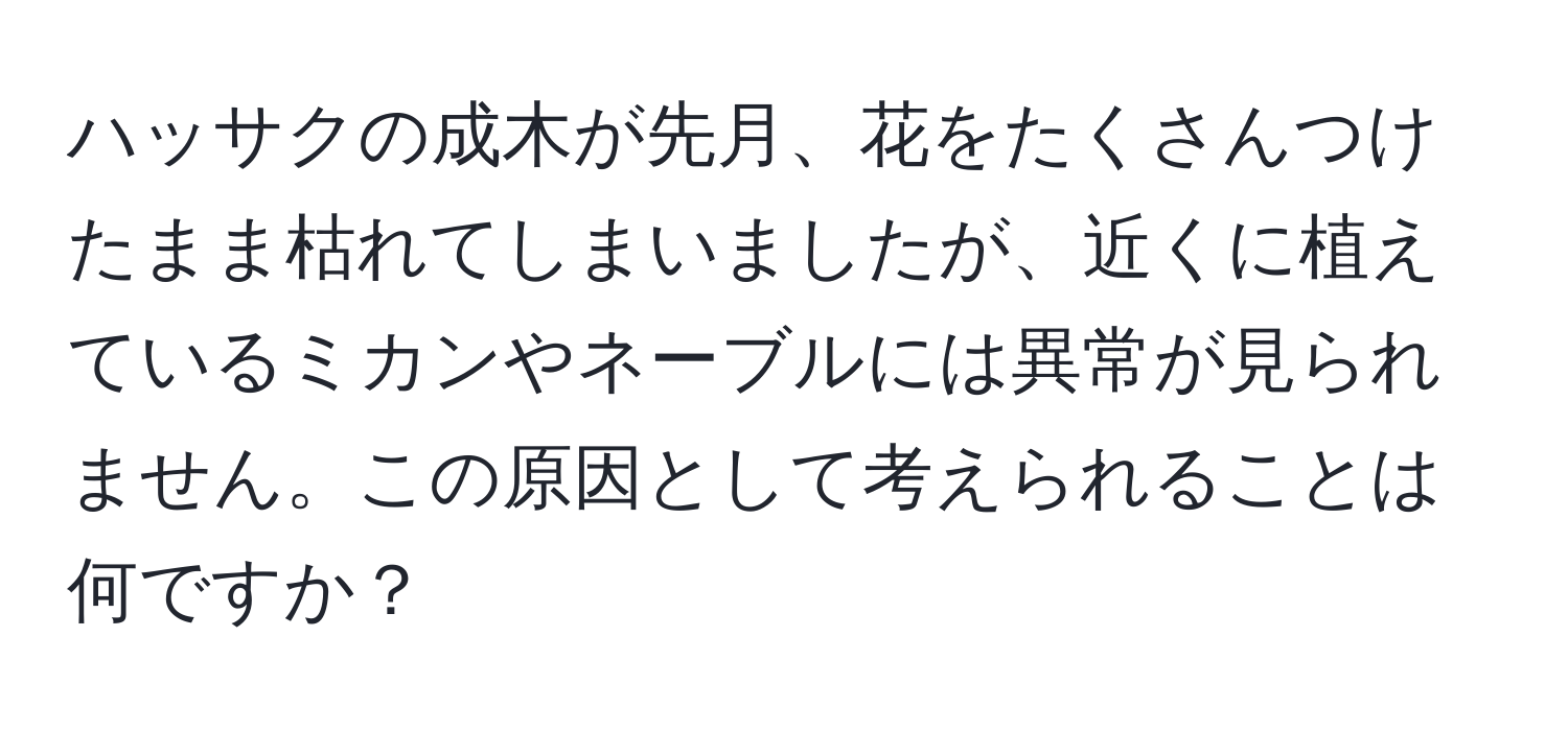 ハッサクの成木が先月、花をたくさんつけたまま枯れてしまいましたが、近くに植えているミカンやネーブルには異常が見られません。この原因として考えられることは何ですか？