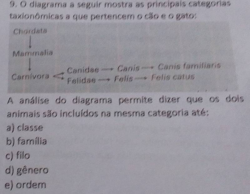 diagrama a seguir mostra as princípais categoras
taxionômicas a que pertencem o cão e o gato:
Chordats
Mammalia
Canidae = Canis— Canis famitiaris
Carnívora Felidae Felis == Felis catus
A análise do diagrama permite dizer que os dois
animais são incluídos na mesma categoria até:
a) classe
b) família
c) filo
d) gênero
e) ordem