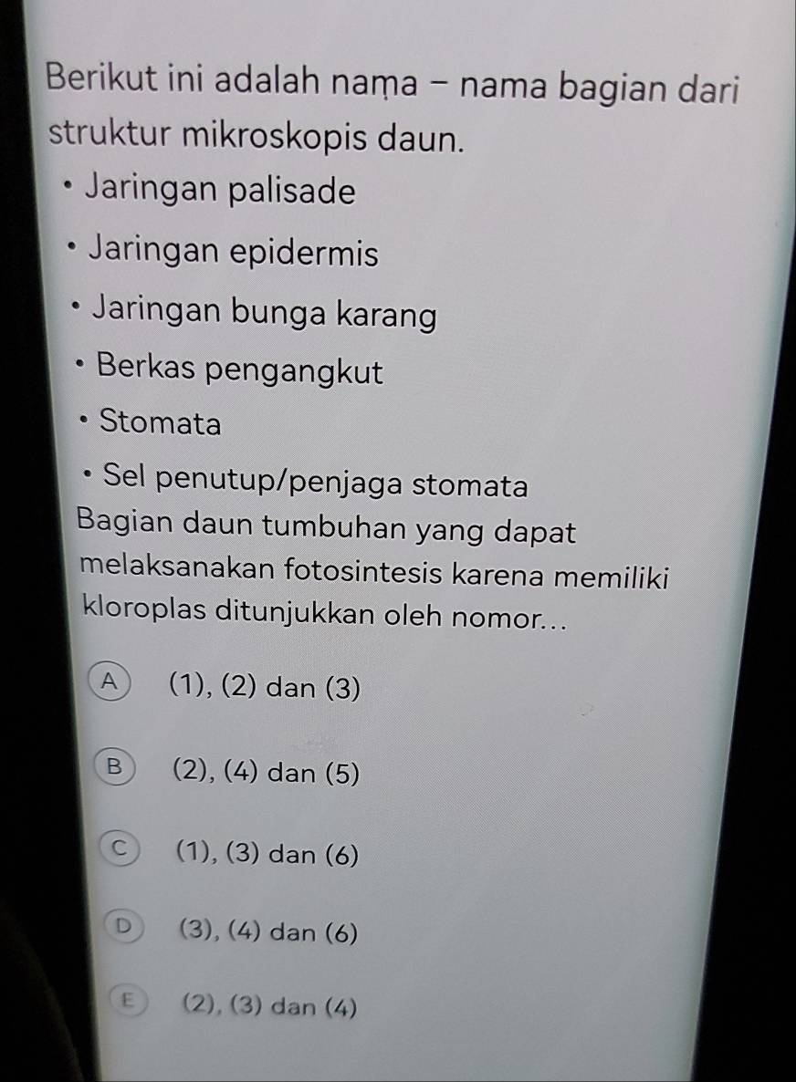 Berikut ini adalah naṃa - nama bagian dari
struktur mikroskopis daun.
Jaringan palisade
Jaringan epidermis
Jaringan bunga karan
Berkas pengangkut
Stomata
Sel penutup/penjaga stomata
Bagian daun tumbuhan yang dapat
melaksanakan fotosintesis karena memiliki
kloroplas ditunjukkan oleh nomor...
A (1),(2) dan (3)
B (2),(4) dan (5)
C (1),(3) dan (6)
D (3),(4). dan (6)
E (2),(3) dan (4)