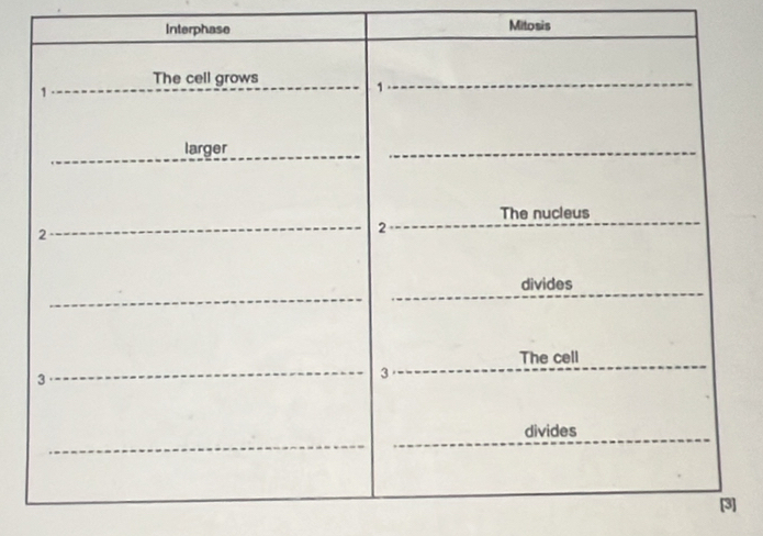 Mitosis 
]