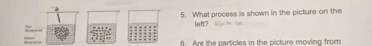 4 
5. What process is shown in the picture on the 
left? 
Dre Mo (ecu) ea 
Molecul=s Wate 
6. Are the particles in the picture moving from