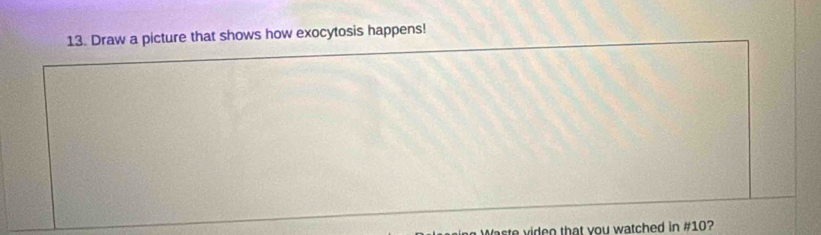 Draw a picture that shows how exocytosis happens! 
sto ieo that you watched in # 10?