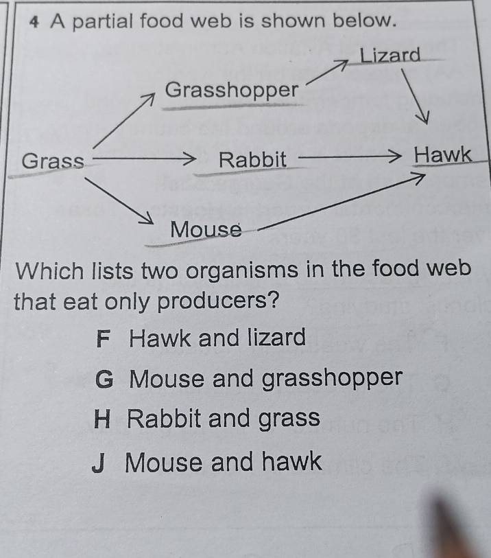 Solved: A partial food web is shown below. Lizard Grasshopper Grass ...