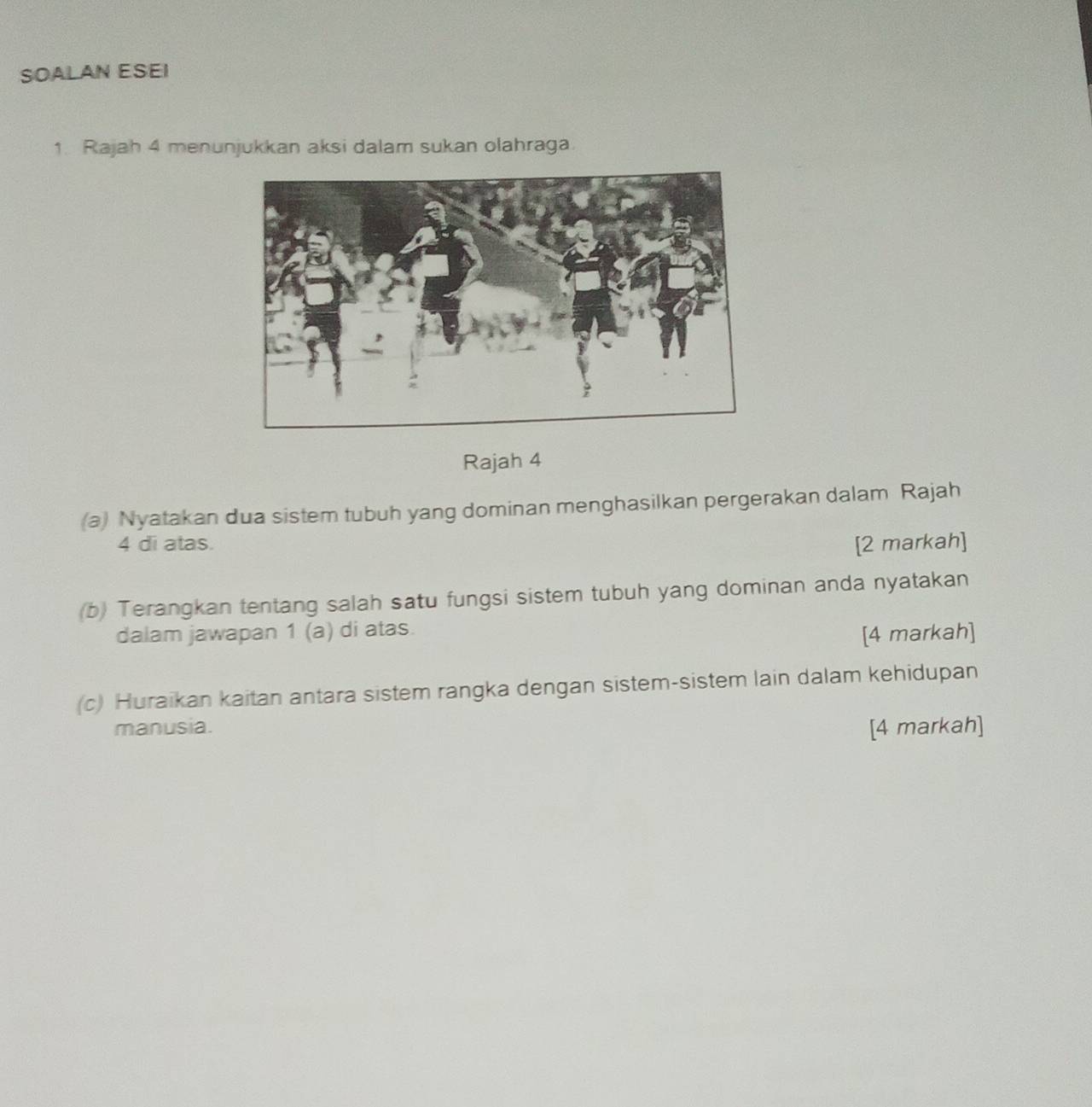 SOALAN ESEI 
1. Rajah 4 menunjukkan aksi dalam sukan olahraga. 
Rajah 4 
(a) Nyatakan dua sistem tubuh yang dominan menghasilkan pergerakan dalam Rajah 
4 di atas. [2 markah] 
(b) Terangkan tentang salah satu fungsi sistem tubuh yang dominan anda nyatakan 
dalam jawapan 1 (a) di atas. 
[4 markah] 
(c) Huraikan kaitan antara sistem rangka dengan sistem-sistem lain dalam kehidupan 
manusia. [4 markah]