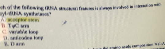 ch of the following tRNA structural features is always involved in interaction with
syl-tRNA synthetases?
A acceptor stem
B. TψC arm
C. variable loop
D. anticodon loop
E. D arm
the ino acids composition Val-A