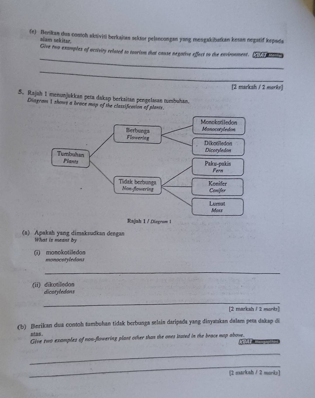 Berikan dua contoh aktiviti berkaitan sektor pelancongan yang mengakibatkan kesan negatif kepada 
alam sekitar. 
_ 
Give two examples of activity related to tourism that cause negative effect to the environment. a e 
_ 
[2 markah / 2 morks] 
5. Rajah 1 menunjukkan peta dakap berkaitan pengelasan tumbuhan. 
Diagram 1 shows a brace map of the classification of plants. 
Monokotiledon 
Berbunga Monocotyledon 
Flowering 
Dikotiledon 
Dicotyledon 
Tumbuhan 
Plants Paku-pakis 
Fern 
Tidak berbunga Konifer 
Non-flowering Conifer 
Lumut 
Moss 
Rajah 1 / Diagram 1 
(a) Apakah yang dimaksudkan dengan 
What is meant by 
(i) monokotiledon 
monocotyledons 
_ 
(ii) dikotiledon 
dicotyledons 
_ 
[2 markah / 2 marks] 
(b) Berikan dua contoh tumbuhan tidak berbunga selain daripada yang dinyatakan dalam peta dakap di 
atas. 
Give two examples of non-flowering plant other than the ones stated in the brace map above. 
KBAT Meogopika 
_ 
_ 
[2 markah / 2 marks]