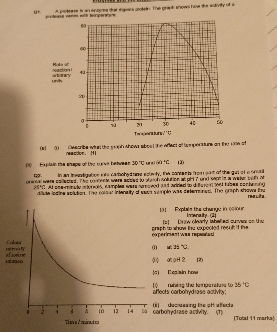 Enzçmes  a 
Q1. A protease is an enzyme that digests protein. The graph shows how the activity of a
pe varies with temperature.
(a) (i) Describe what the graph shows about the effect of temperature on the rate of
reaction. (1)
(ii) Explain the shape of the curve between 30°C and 50°C. (3)
Q2. In an investigation into carbohydrase activity, the contents from part of the gut of a small
animal were collected. The contents were added to starch solution at pH 7 and kept in a water bath at
25°C. At one-minute intervals, samples were removed and added to different test tubes containing
dilute iodine solution. The colour intensity of each sample was determined. The graph shows the
results.
a) Explain the change in colour
intensity. (2)
(b) Draw clearly labelled curves on the
h to show the expected result if the
riment was repeated
iat 35°C;
o
s at pH 2. (2)
Explain how
raising the temperature to 35°C
cts carbohydrase activity;
decreasing the pH affects
ohydrase activity. (7)
(Total 11 marks)