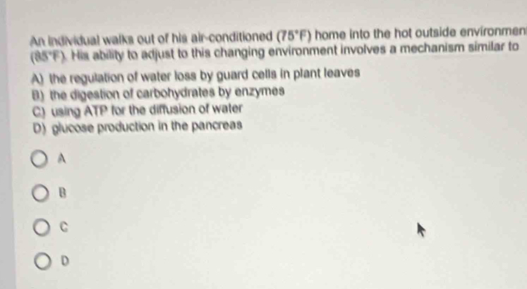 An individual walks out of his air-conditioned (75°F) home into the hot outside environmen
(85°F). His ability to adjust to this changing environment involves a mechanism similar to
A) the regulation of water loss by guard cells in plant leaves
B) the digestion of carbohydrates by enzymes
C) using ATP for the diffusion of water
D) glucose production in the pancreas
A
B
C
D