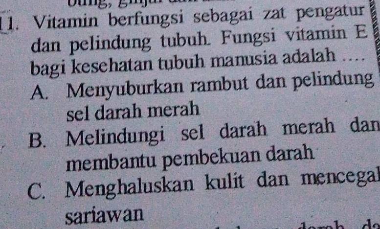 Vitamin berfungsi sebagai zat pengatur
dan pelindung tubuh. Fungsi vitamin E
bagi kesehatan tubuh manusia adalah ....
A. Menyuburkan rambut dan pelindung
sel darah merah
B. Melindungi sel darah merah dan
membantu pembekuan darah
C. Menghaluskan kulit dan mencegal
sariawan