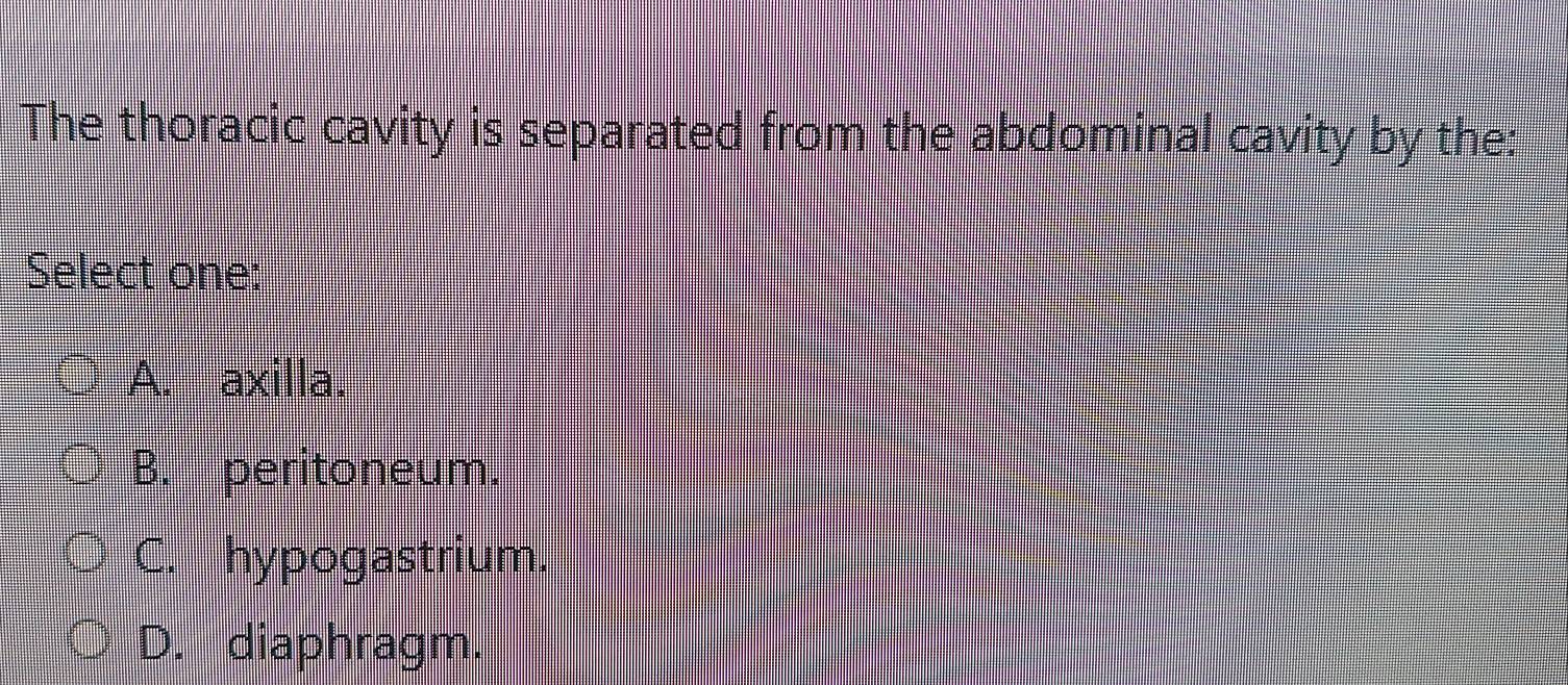 The thoracic cavity is separated from the abdominal cavity by the:
Select one:
A. axilla.
B. peritoneum.
C. hypogastrium.
D. diaphragm.