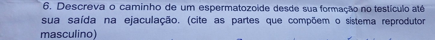 Descreva o caminho de um espermatozoide desde sua formação no testículo até 
sua saída na ejaculação. (cite as partes que compõem o sistema reprodutor 
masculino)