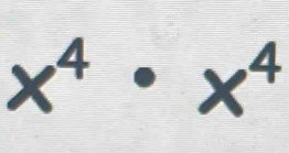 x^4· x^4