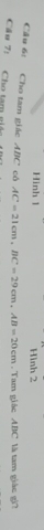 Hinh 1 Hình 2 
Cầu 6: Cho tam giác A[ C cô AC=21cm, BC=29cm, AB=20cm. Tam giác ABC là tam giác gì? 
Cầu 7: Cho tam