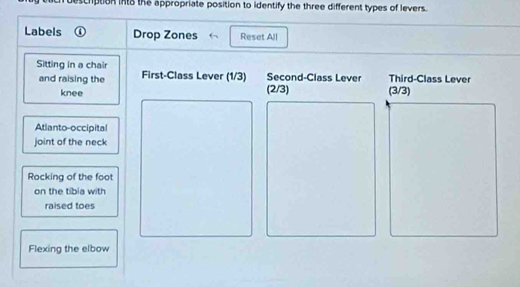 escription into the appropriate position to identify the three different types of levers. 
Labels Drop Zones Reset All 
Sitting in a chair 
and raising the First-Class Lever (1/3) Second-Class Lever Third-Class Lever 
knee (2/3) (3/3)
Atlanto-occipital 
joint of the neck 
Rocking of the foot 
on the tibia with 
raised toes 
Flexing the elbow