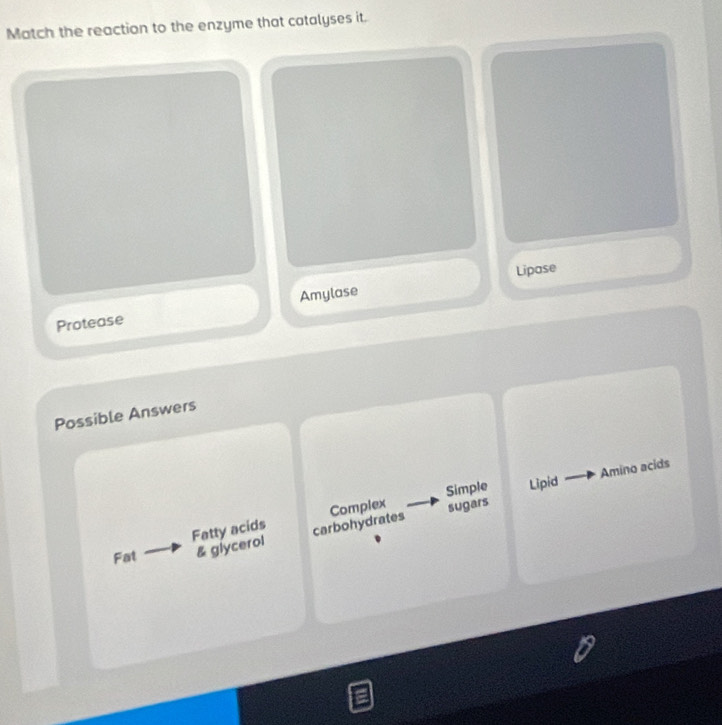 Match the reaction to the enzyme that catalyses it.
Amylase Lipase
Protease
Possible Answers
Simple Lipid Amino acids
Fatty acids carbohydrates Complex sugars
Fat & glycerol