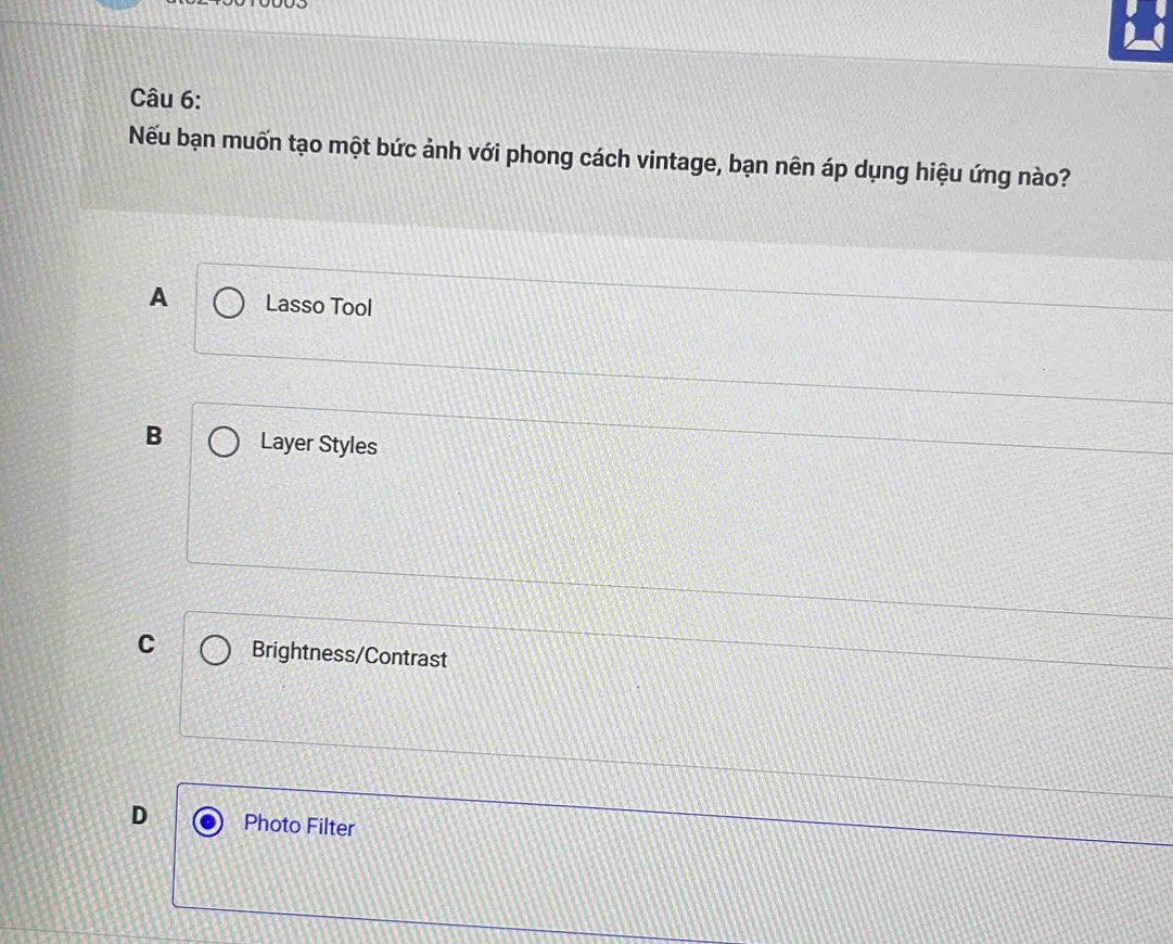 Nếu bạn muốn tạo một bức ảnh với phong cách vintage, bạn nên áp dụng hiệu ứng nào?
A Lasso Tool
B Layer Styles
C Brightness/Contrast
D Photo Filter