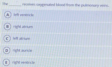 The_ receives oxygenated blood from the pulmonary veins.
A left ventricle
B  right atrium
C left atrium
D right auricle
E right ventricle