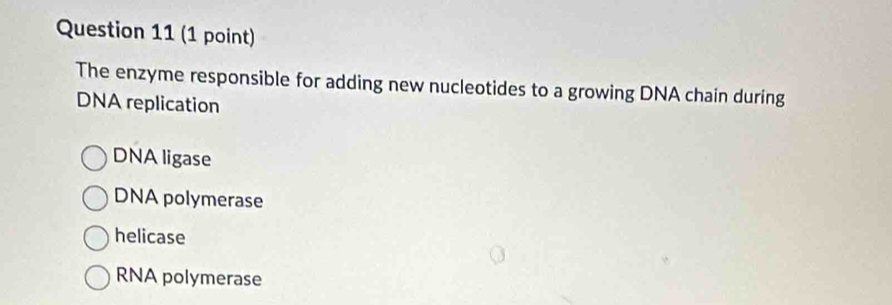 The enzyme responsible for adding new nucleotides to a growing DNA chain during
DNA replication
DNA ligase
DNA polymerase
helicase
RNA polymerase